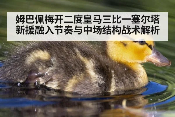 姆巴佩梅开二度皇马三比一塞尔塔 新援融入节奏与中场结构战术解析